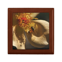 Amour d'abeille coffrets cadeaux