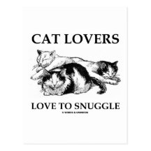 Amour d'amoureux de les chats à se blottir carte postale