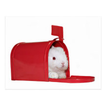 Amour dans le courrier cartes postales