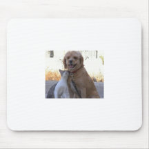 Amour de chien de chat tapis de souris