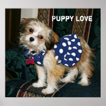 Amour de chiot affiches