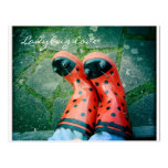 Amour de coccinelle carte postale