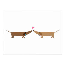 amour de doxie carte postale
