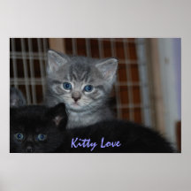 Amour de Kitty Poster
