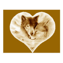 Amour de loup carte postale