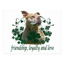 Amour irlandais carte postale
