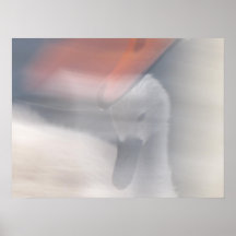 Amour maternel affiches