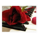 Amour romantique de rose rouge cartes postales