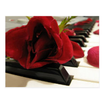 Amour romantique de rose rouge cartes postales