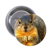 Amour Squirrel_ Badge Avec Épingle