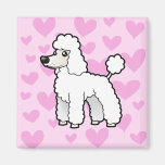 Amour standard/de miniature/jouet caniche (chiot c aimant