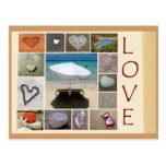 Amour sur la plage cartes postales