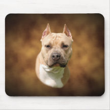 Amstaff Tapis De Souris