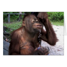 Amusement de renfoncement d'orang-outan carte de vœux