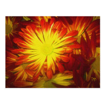 Amys fleurit des cartes postales