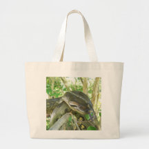 Anaconda vert sacs