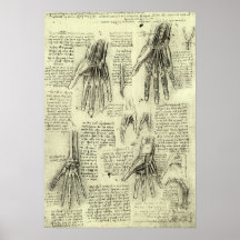 Anatomie de la main humaine par Leonardo da Vinci Affiche