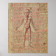 Anatomie du corps humain posters