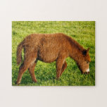 Âne de bébé puzzle