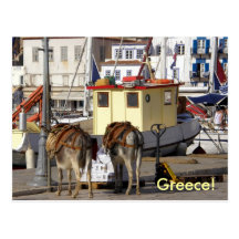 âne sur le quai en Grèce Carte Postale