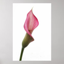 Ange de bonne nuit posters