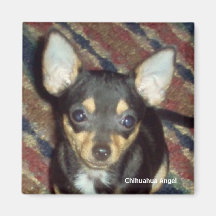 Ange de chiwawa magnets pour réfrigérateur