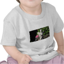 Ange de jardin t-shirt