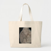 Ange gardien sacs