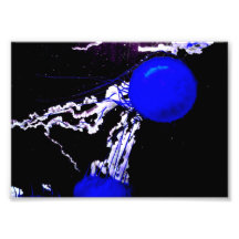 "Anges bleus " Art Photographique