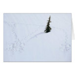 anges de neige sur la montagne carte de vœux