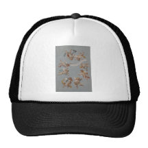 Anges lunatiques d'ange de la Renaissance Casquette