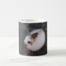 Angora Bunny Rabbit Coffee Mug