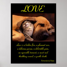 Animal 2 d'affiches d'AMOUR