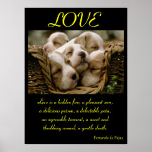Animal 4 d'affiches d'AMOUR