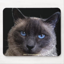 Animal-amants Mousepad de CAT siamois Tapis De Souris