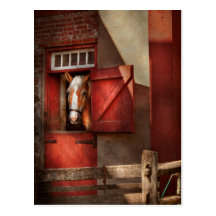 Animal - cheval - maison de Calvins Carte Postale