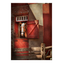 Animal - cheval - maison de Calvins Invitations Personnalisées