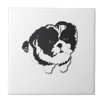 Animal familier blanc noir de chien de Shih Tzu Carreau