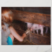 Animal - porc - porcelets de alimentation tract personnalisé