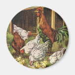 Animaux de ferme vintages, coq, poules, poulets aimant