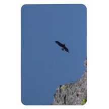 Animaux de l'Idaho de canyon d'enfers/oiseaux Aves Magnets Rectangulaires