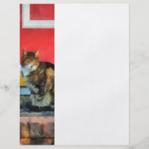 Animaux familiers - chat tigré par la porte rouge prospectus