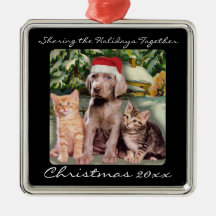 Animaux mignons chiot et animal familier de chaton ornement de noël