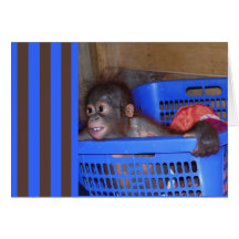 Animaux mignons de bébé cartes de vœux