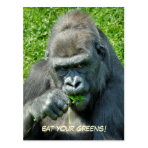 ANIMAUX SAUVAGES - GORILLES CARTE POSTALE