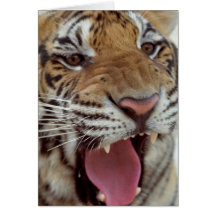 Année de la carte de voeux de tigre