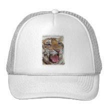 Année de la casquette de baseball de tigre