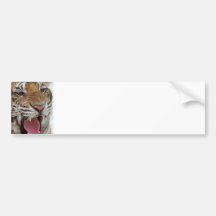 Année de l'adhésif pour pare-chocs de tigre adhésifs pour voiture