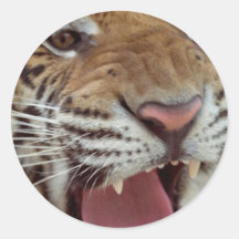 Année de l'autocollant de tigre