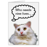Anniversaire blanc de chat les neuf vies carte